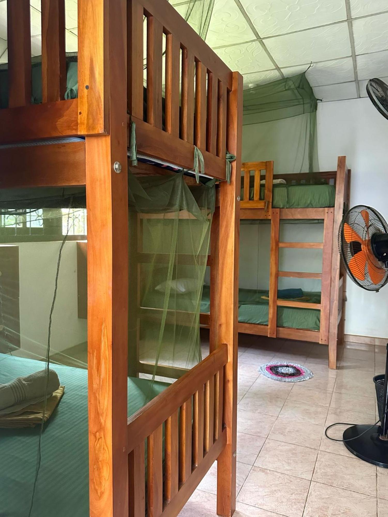 דיקוולה Coco Mango Hostel מראה חיצוני תמונה
